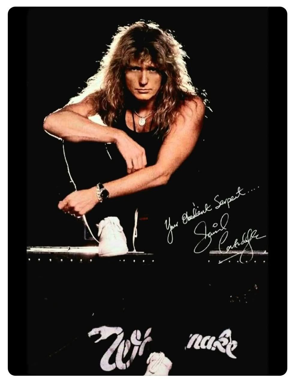 🤘🎶❤️🐍 🖤💯 David Coverdale (Whitesnake)in the 80s, very nice!!!