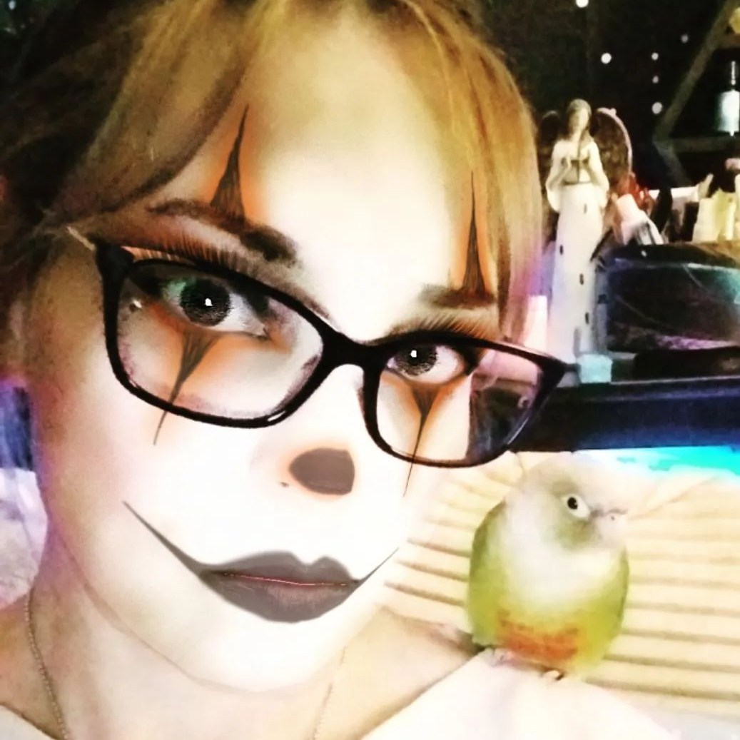 Trying to record the nightly walk I take with Cairo, my cat 😻. It's ...