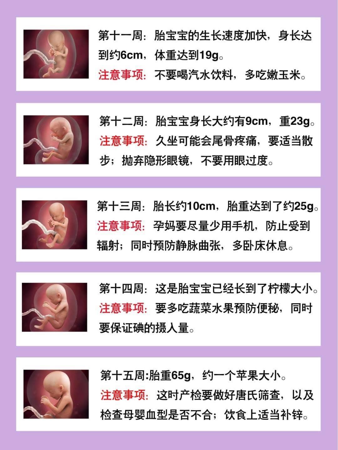 怀孕40周胎儿发育变化及孕妈咪注意事项 Jessypohjessy New Image 健康管理教练 Facebook