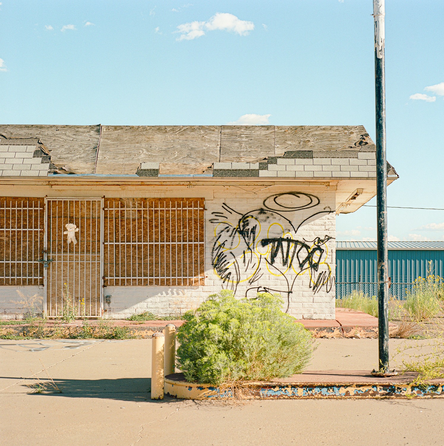 What is the meaning of the teddy bear and graffiti on a building