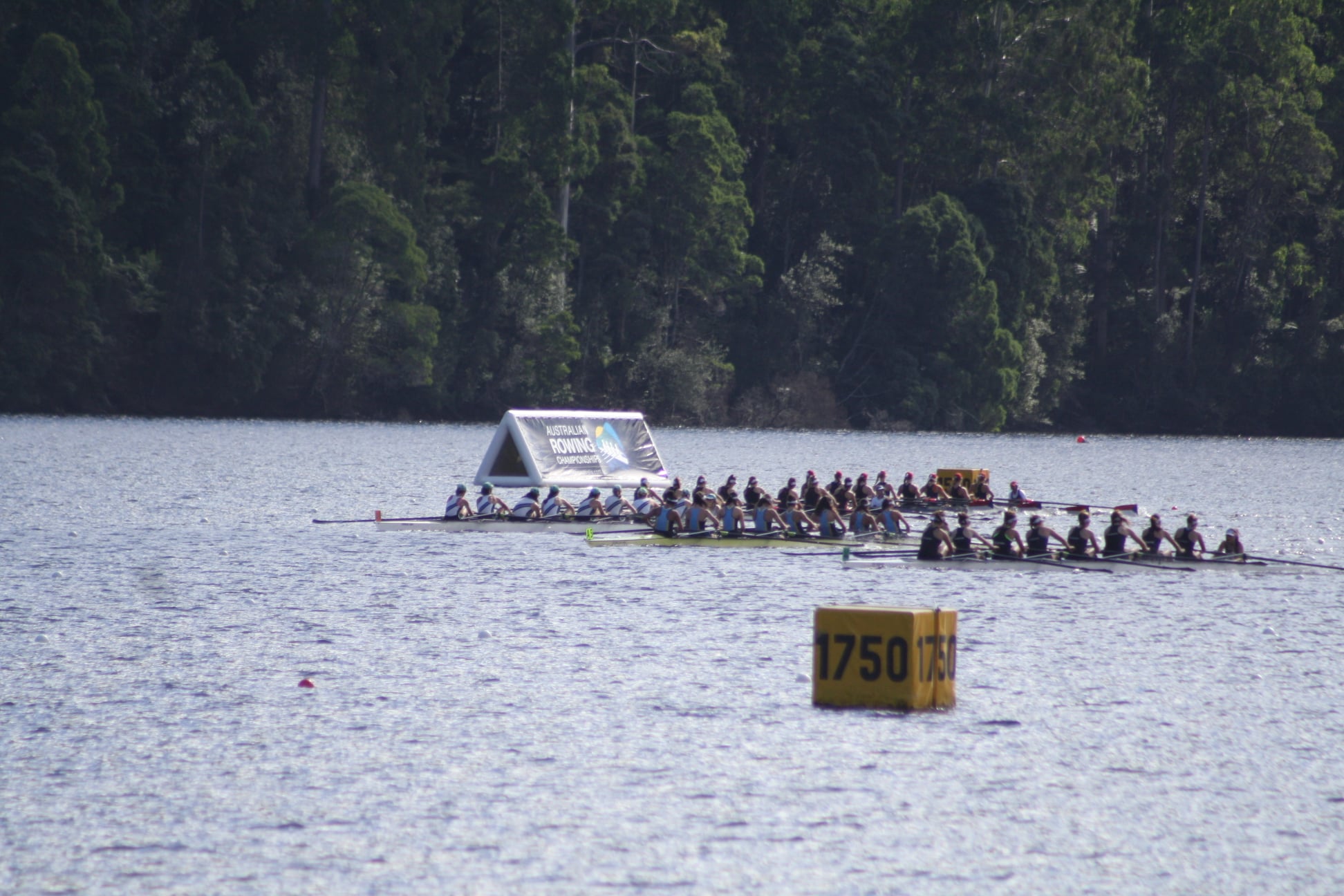 MLC Kew - After another successful Head of the Schoolgirls...