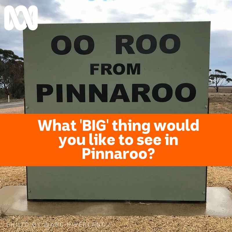 ABC Riverland - 🤩🙌 PINNAROO GOES BIG 🙌🤩 👀 What 'BIG' thing would you ...