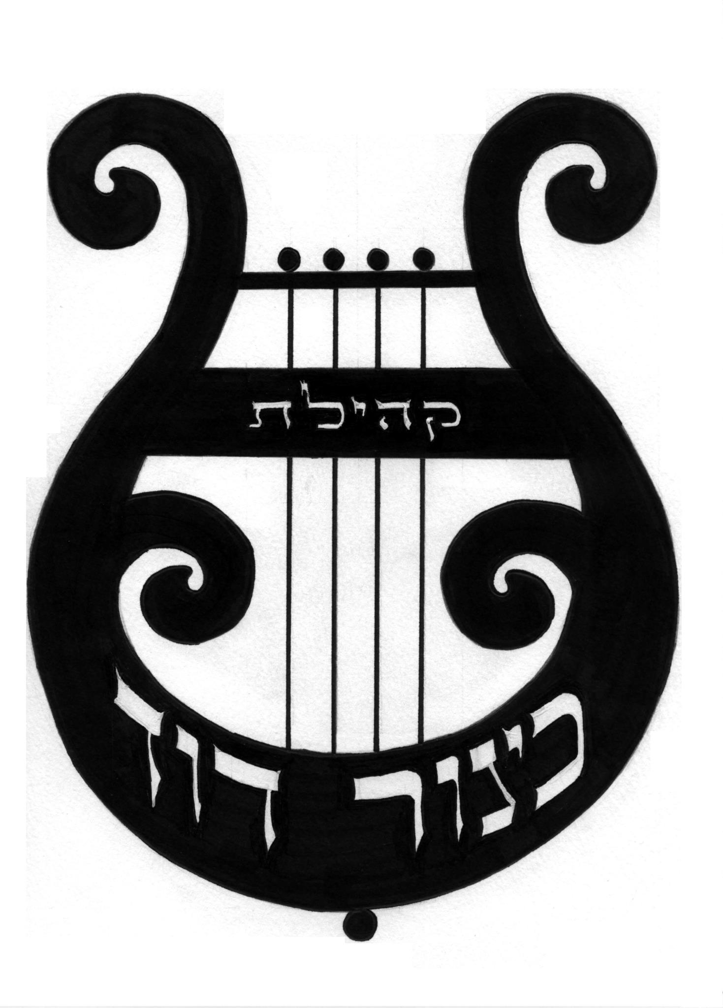‎Kinor David כינור דוד‎ added a... - Kinor David כינור דוד