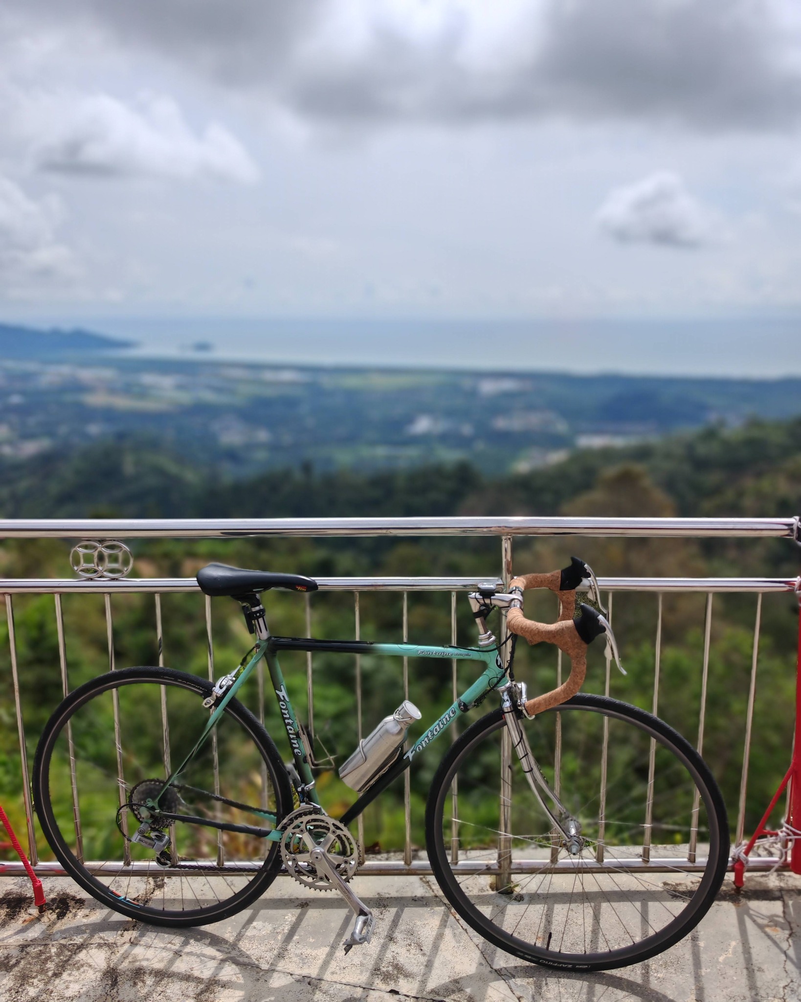 Anyone 4種類 + Fontaine Cycling Patrick Fontaine French steel bike review