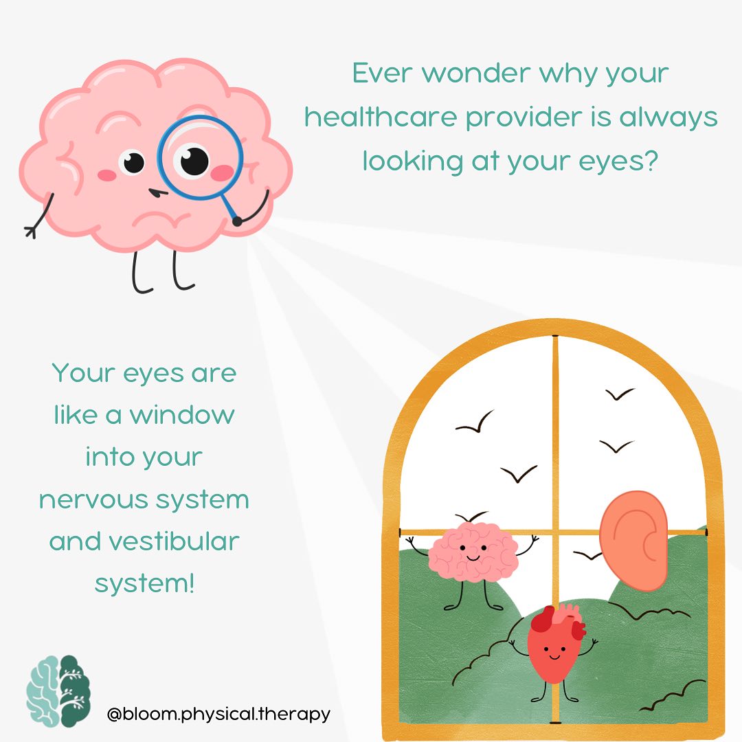 Bloom Physical Therapy | Rochester NY