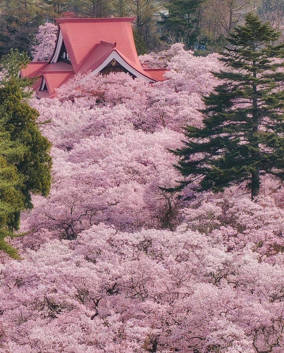 Located in Nagano, Hanamomo-no-Sato beckons with its captivating