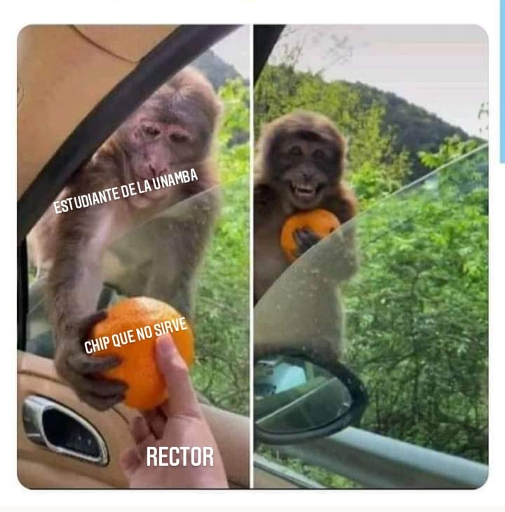 Memes Unamba 2025 | Tamburco