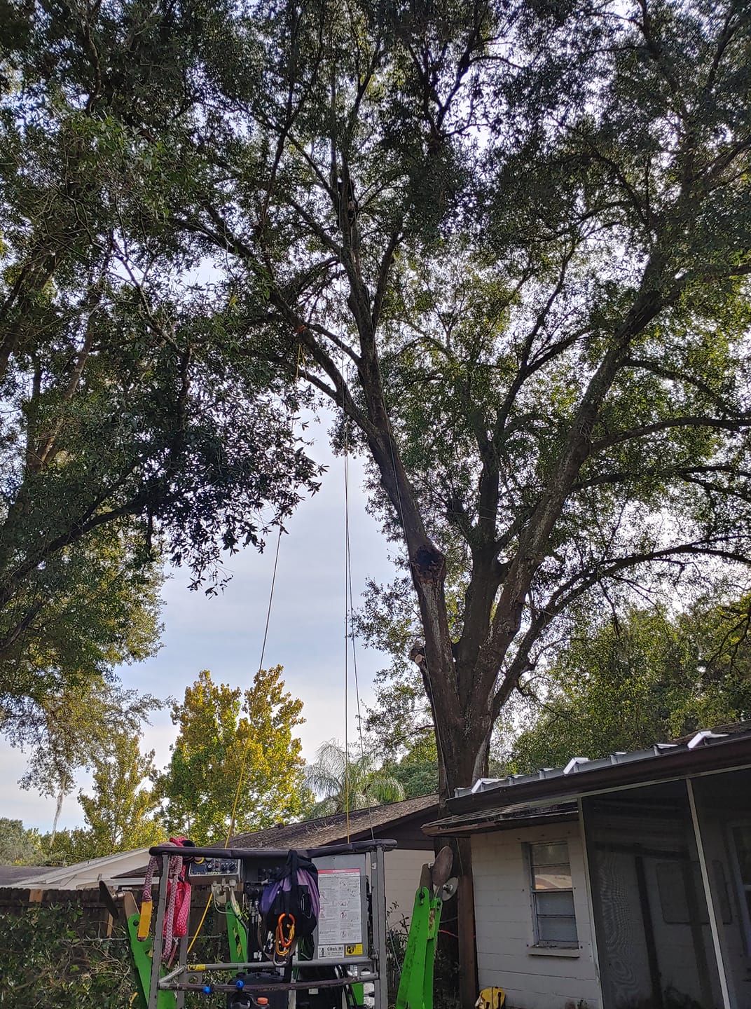 Complete Upkeep LLC Tree Service & Pressure Washing