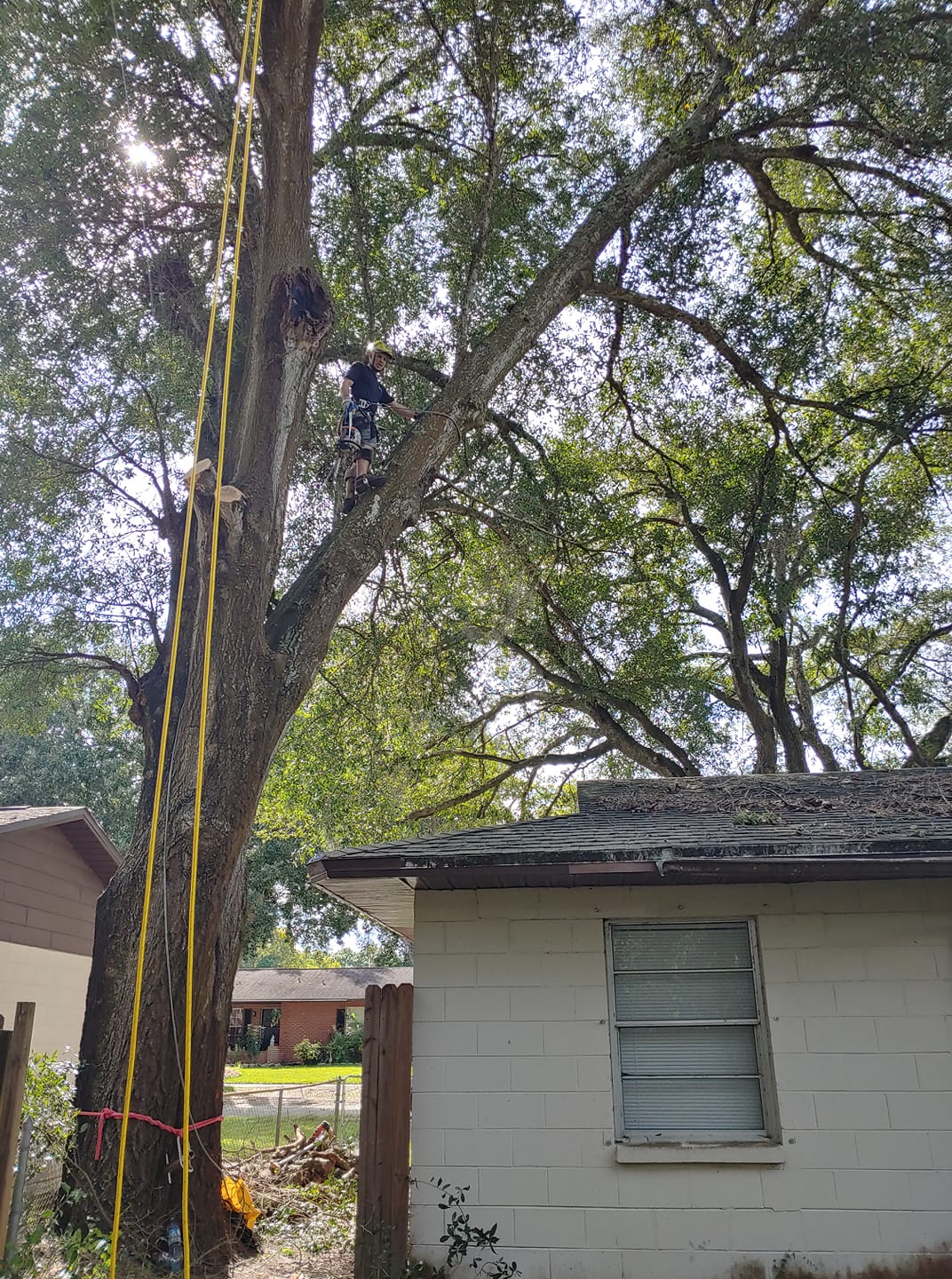 Complete Upkeep LLC Tree Service & Pressure Washing