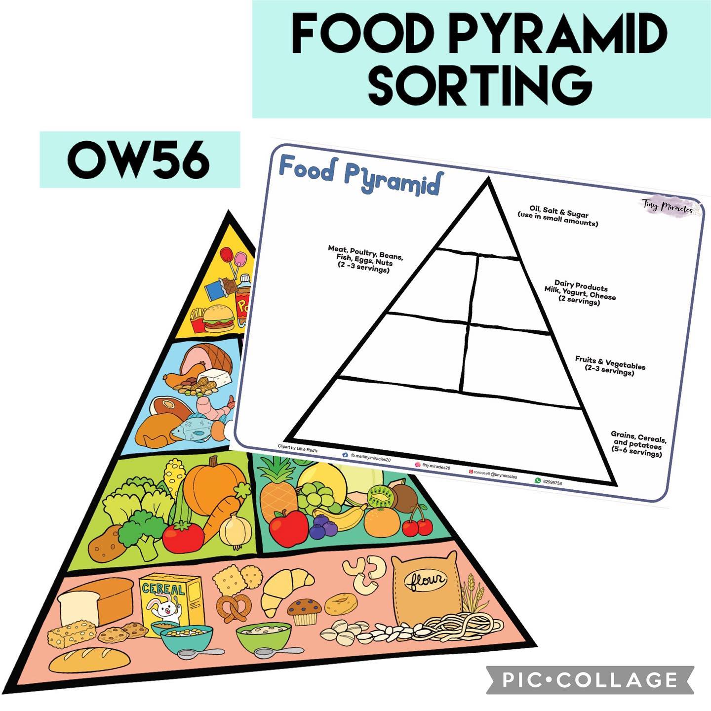 Tiny Miracles - [NEW] Food Pyramid Sorting. There are... | Facebook