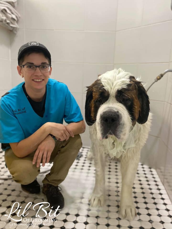 Did you know that we accommodate... - Lil Bit of Grooming