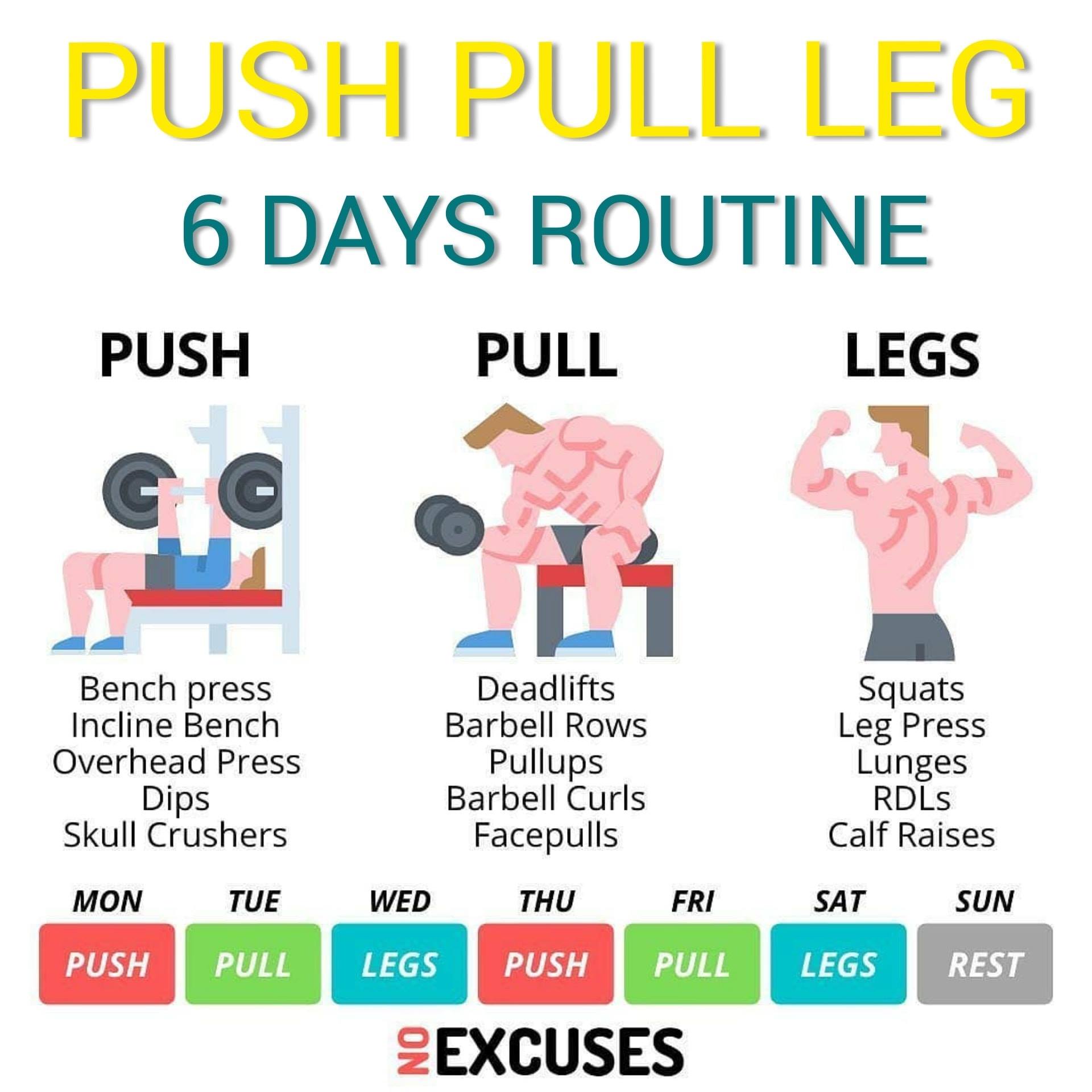 PPL - PUSH PULL LEG 6 DAYS ROUTINE - Tạp chí thể hình