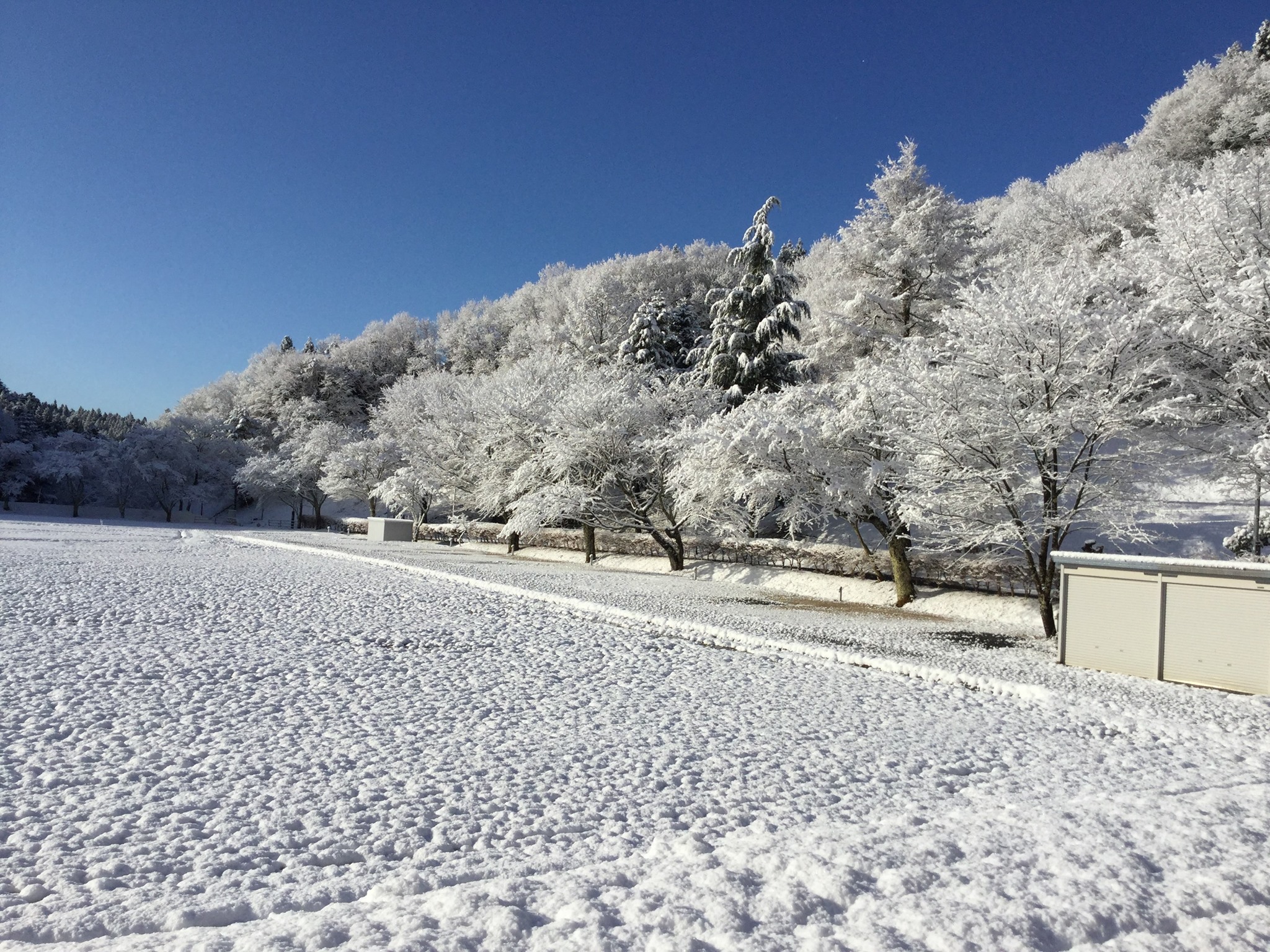 高萩ユーフィールド 今日1日で溶けてしまいますね 本日の気温は10度以上なので やはり暖冬ですね 高萩ユーフィールド キャンプ オートキャンプ キャンプ場探し キャンプ予約受付中 バイク ツーリング ソロキャン バイクキャンプ ゆるキャン 女子