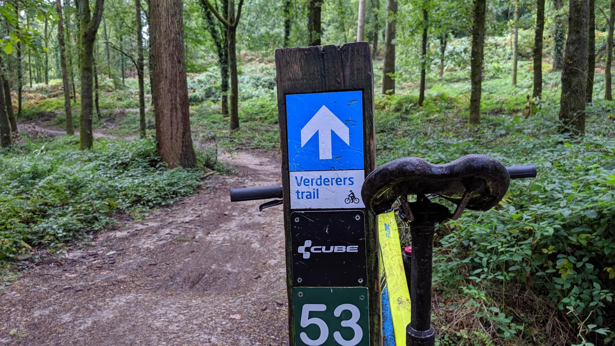 Pedalabikeaway - 🤓Here's a great fact for the weekend!... | Facebook