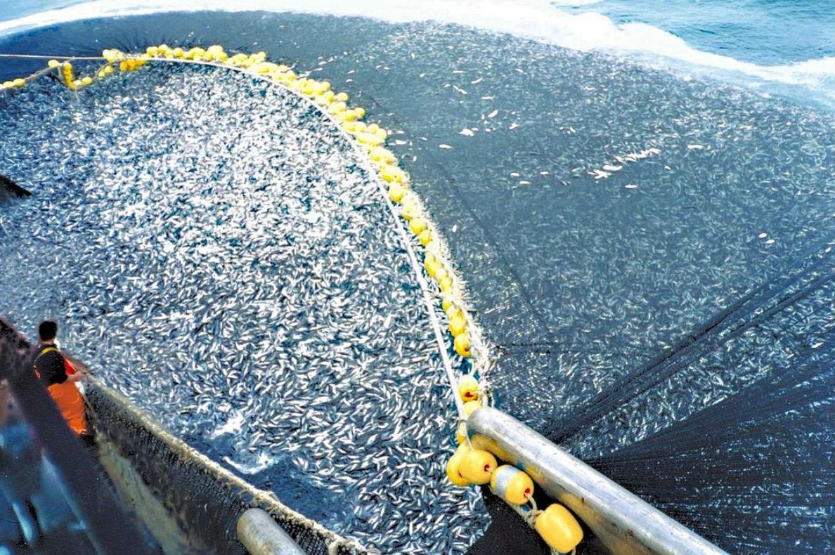 dramatic fishing net dragging Drag Fish Trawl Trap Net Professional Seine Net Maximizes Catch for River Blocking Minnow Fishermen Pull Drag-net Full Fish