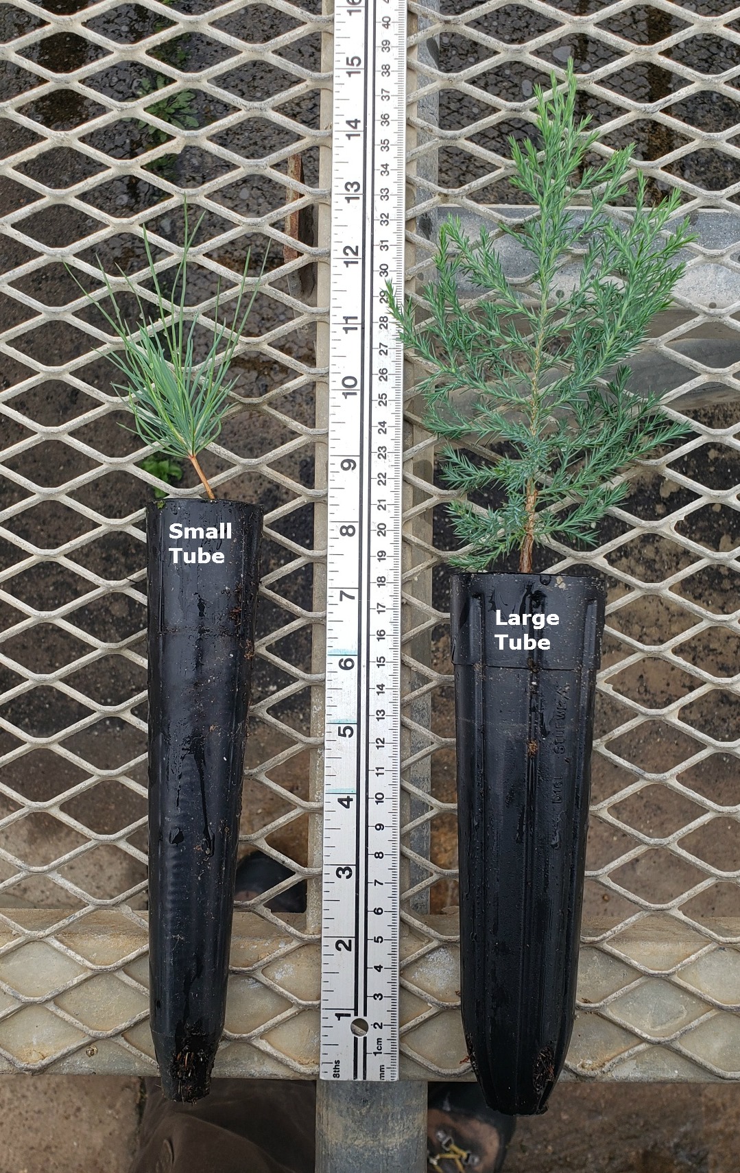 Colorado State Forest Service Nursery | Fort Collins CO