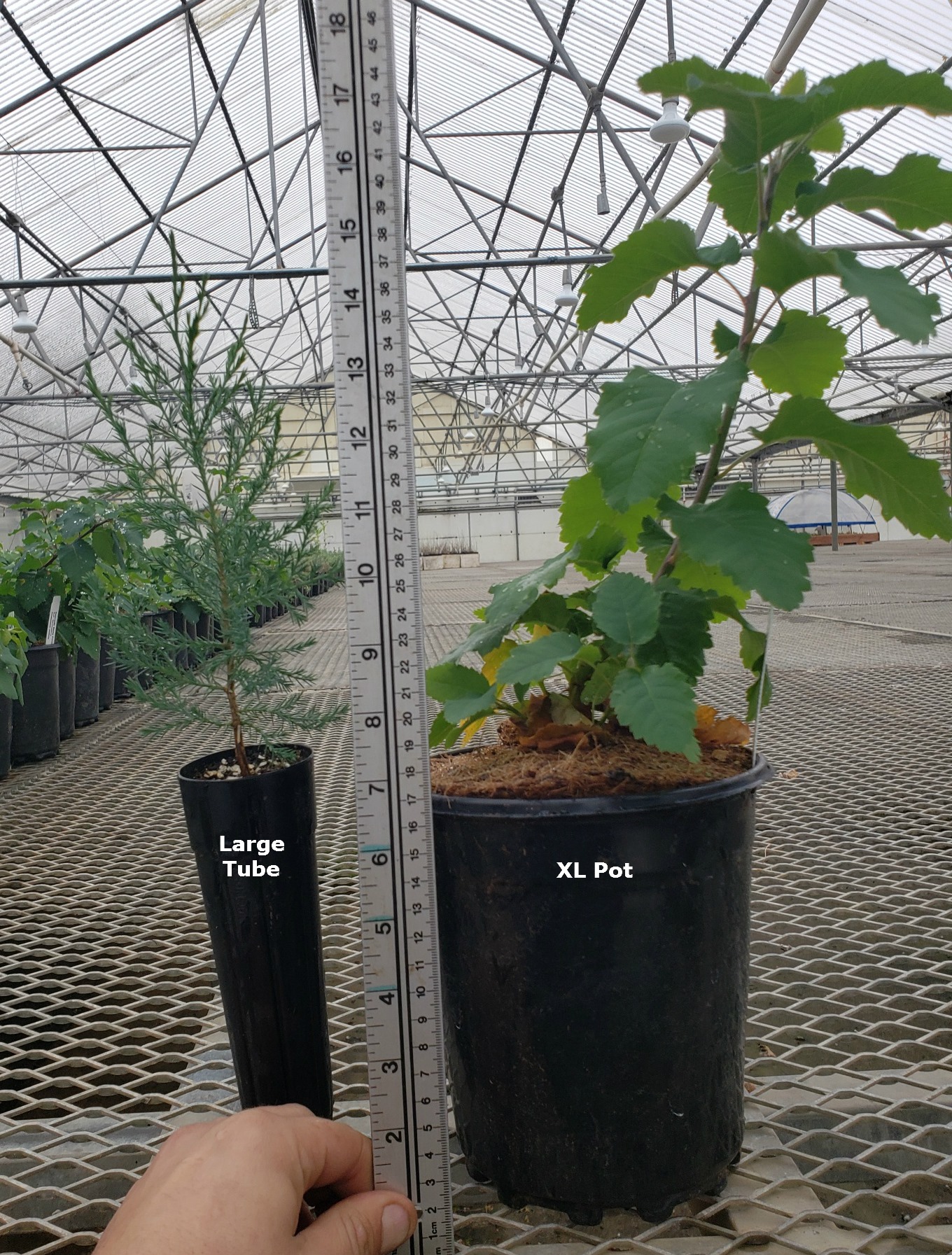 Colorado State Forest Service Nursery | Fort Collins CO