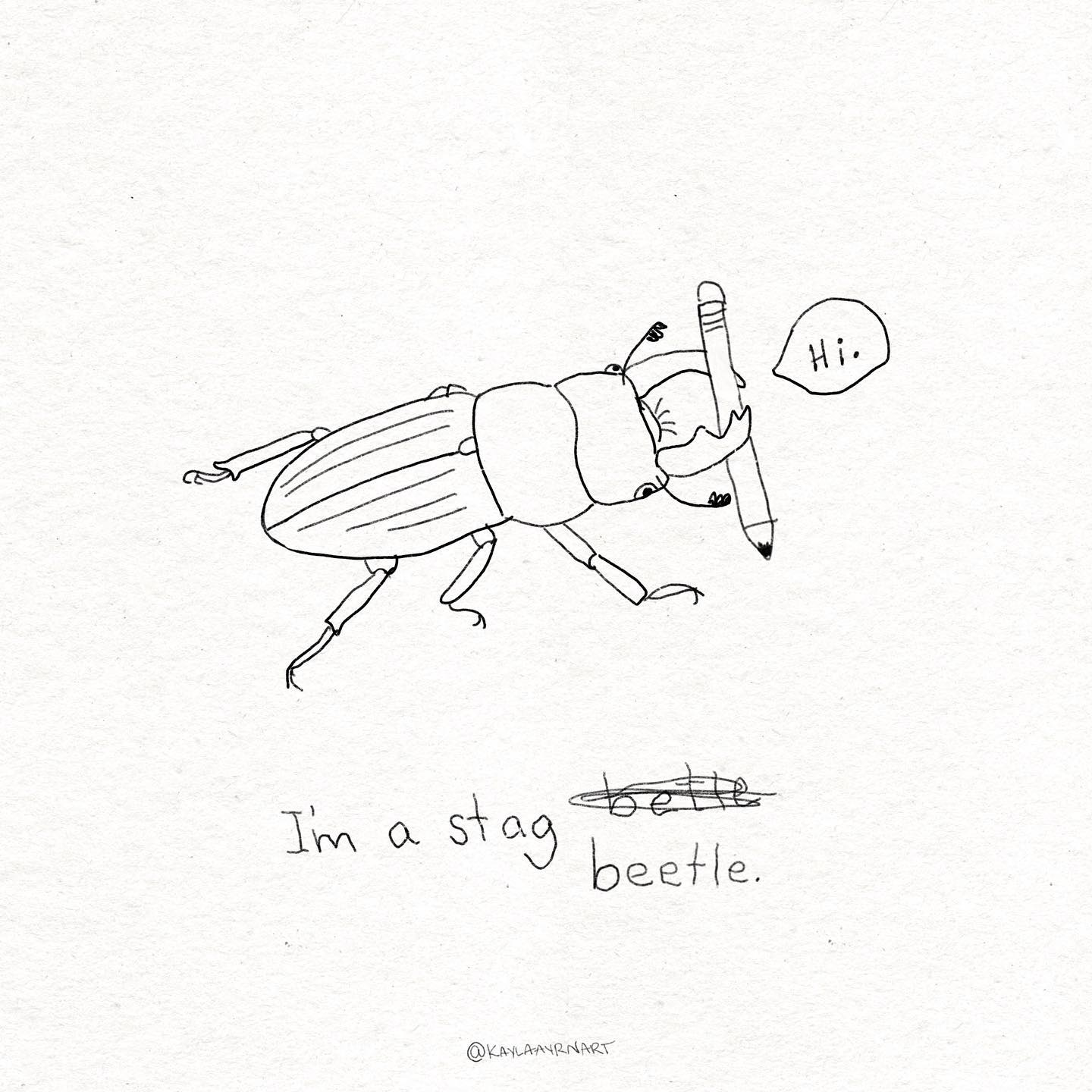 Kayla Ayrn: Art, Illustrations, Insects