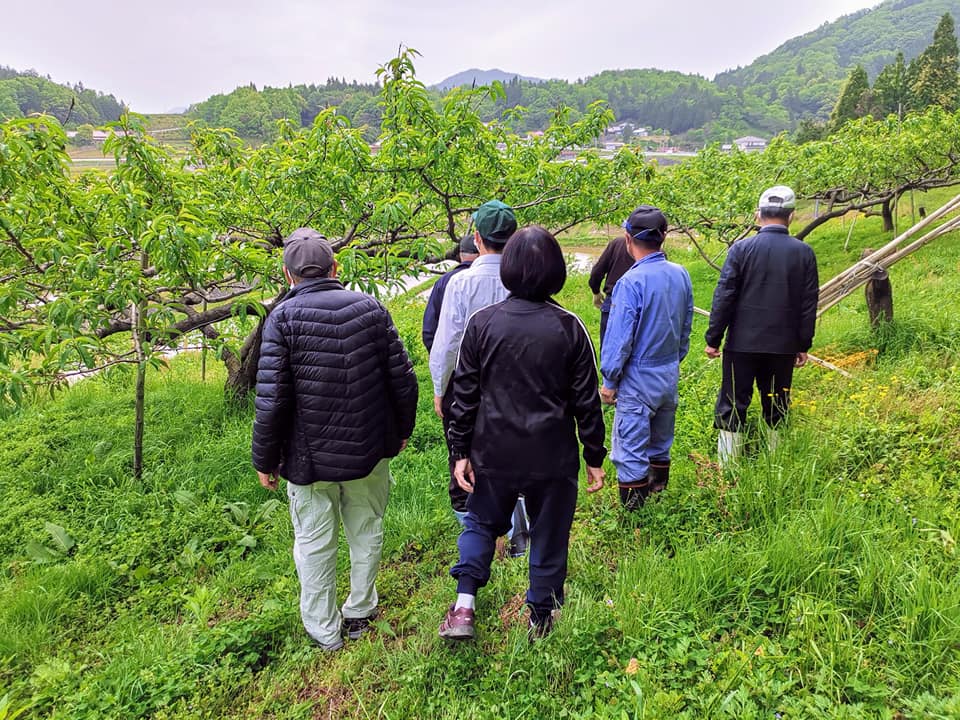和田地区まちづくり推進委員会 桃畑便り 今日は 果樹指導員を招き 各組合員の桃畑の状態を視察してまわりました Facebook