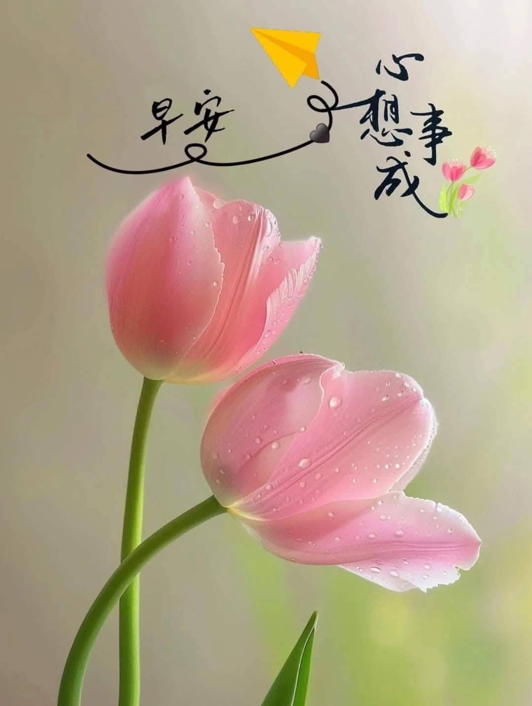 美食 & 早午晚問候圖 | # **日安，平安喜樂 | Facebook