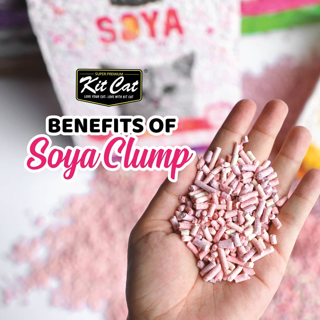 McMac Pet SA - Kit Cat Soya Clump is 100% biodegradable... | Facebook