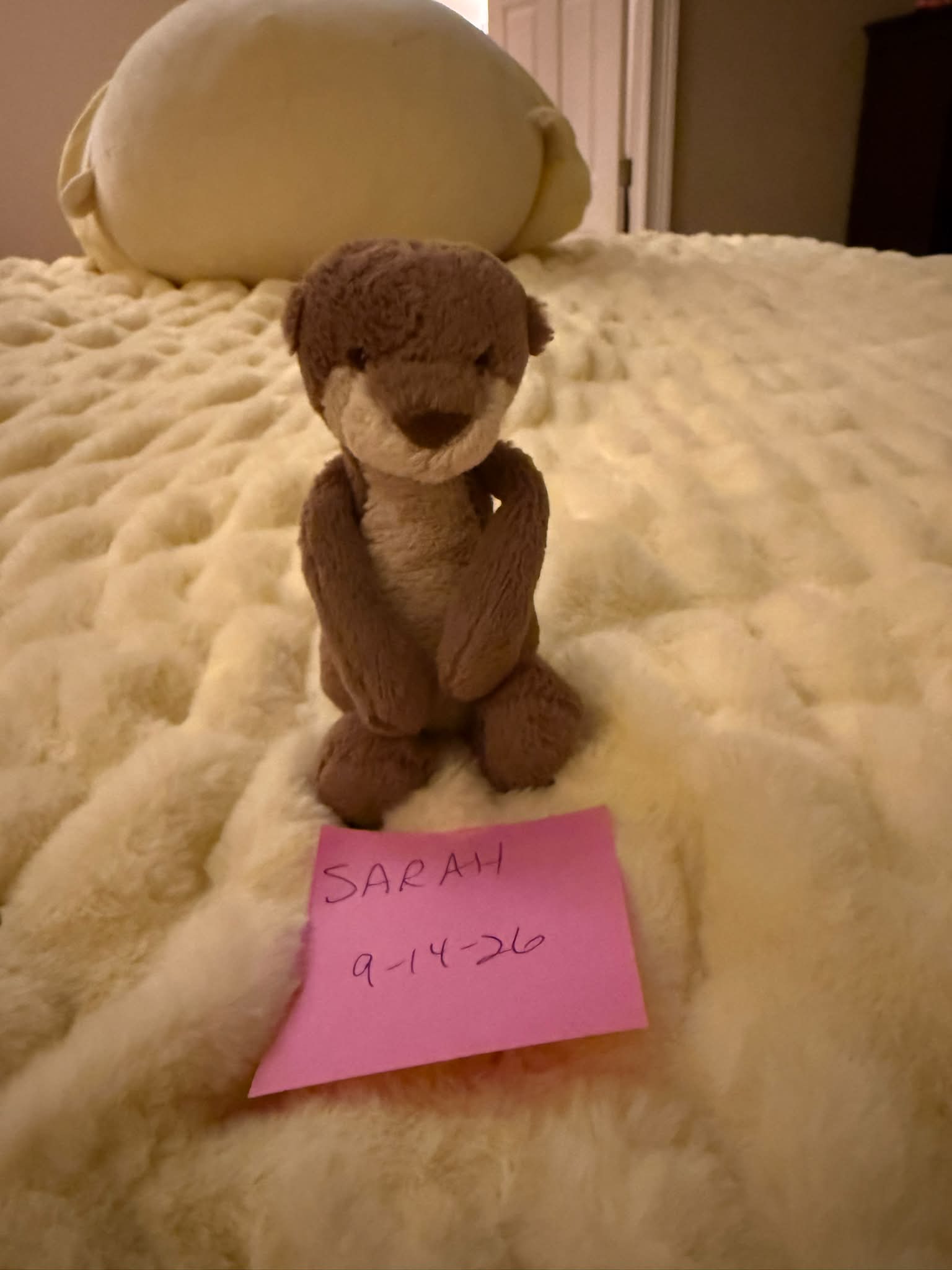 Small Bashful Otter plush toy for sale - $200 USD