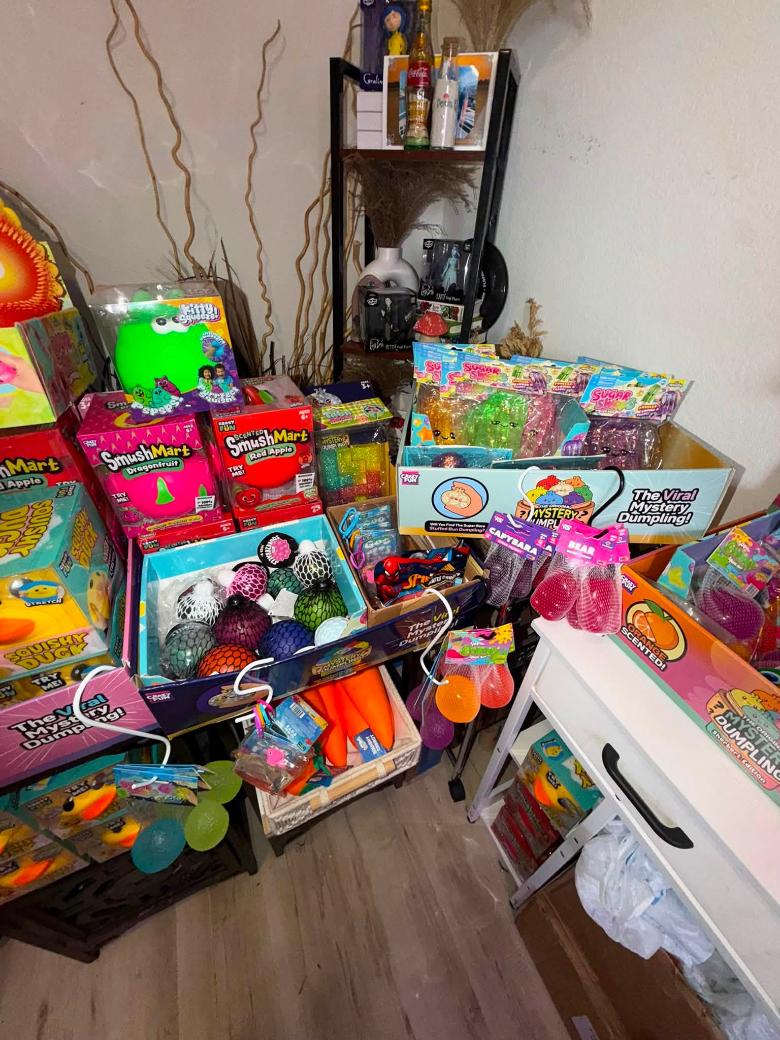 Hey guys! The kids are out selling squishies!! And drinks. 12800