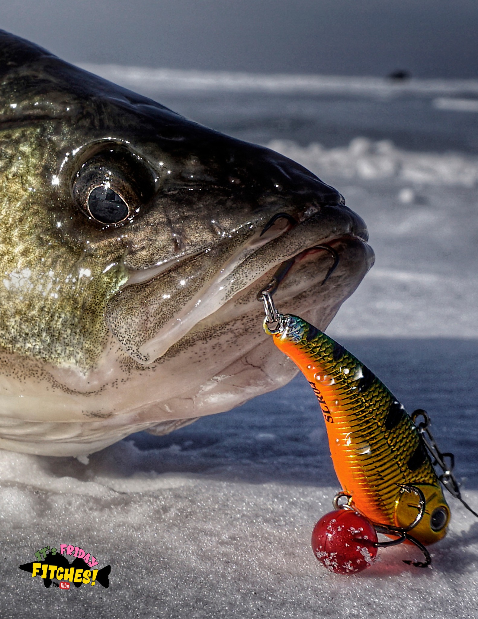 canada ice fishing lures for Bass Perch Walleye Pike Best Ice Fishing Lures 