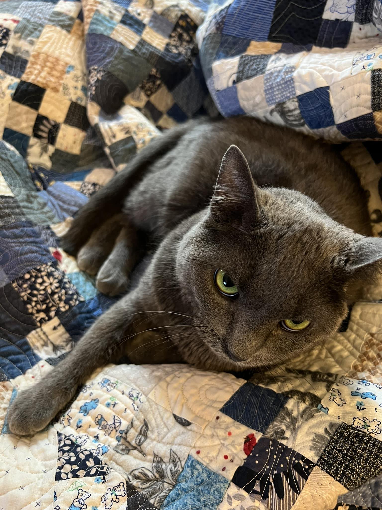 Kitty Queen Quilts | Wahpeton ND
