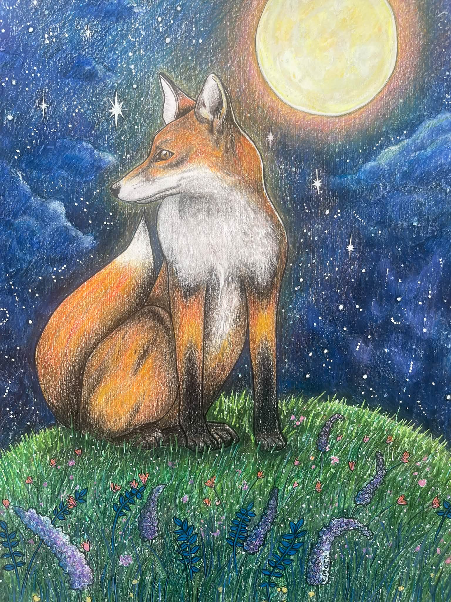 お邪魔しま～す！☺️ 色鉛筆画（白、黄） 名月を愛でる猫ちゃんです❗️