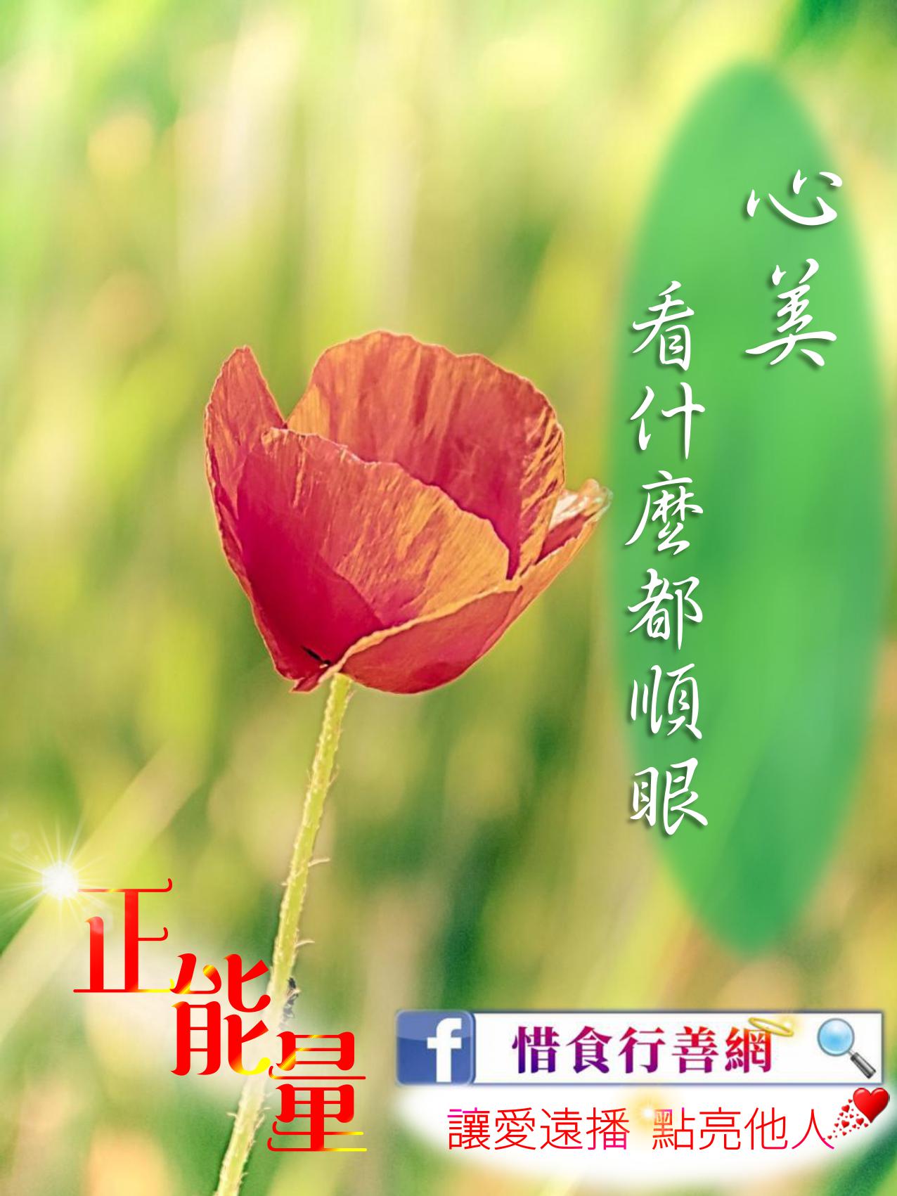 惜食行善網 - #惜食正能量 〖惜食行善網〗讓你可以隨時隨地、舉手之勞做善事... | Facebook