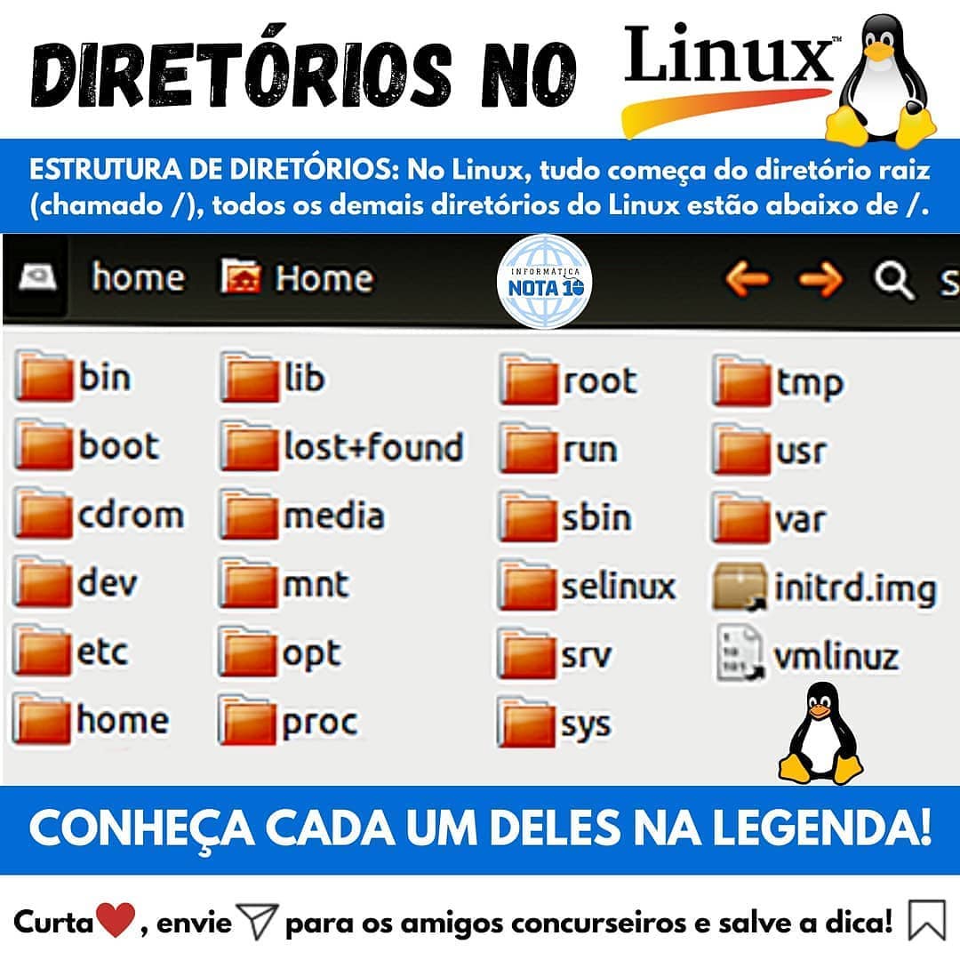 Leonardo Carvalho Vasconcelos - 👉 Diretórios no Linux⁣ 😍🚀 ⁣ O diretório ...