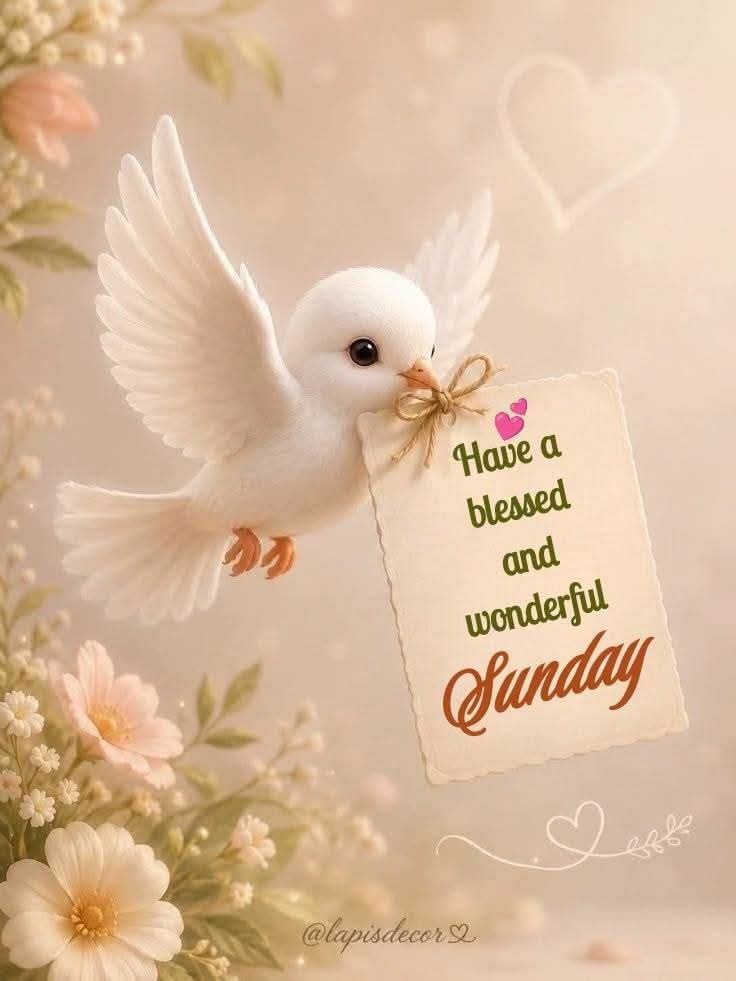 ጋ Have α blessed and wonderfuul Sunday @lapisdecor