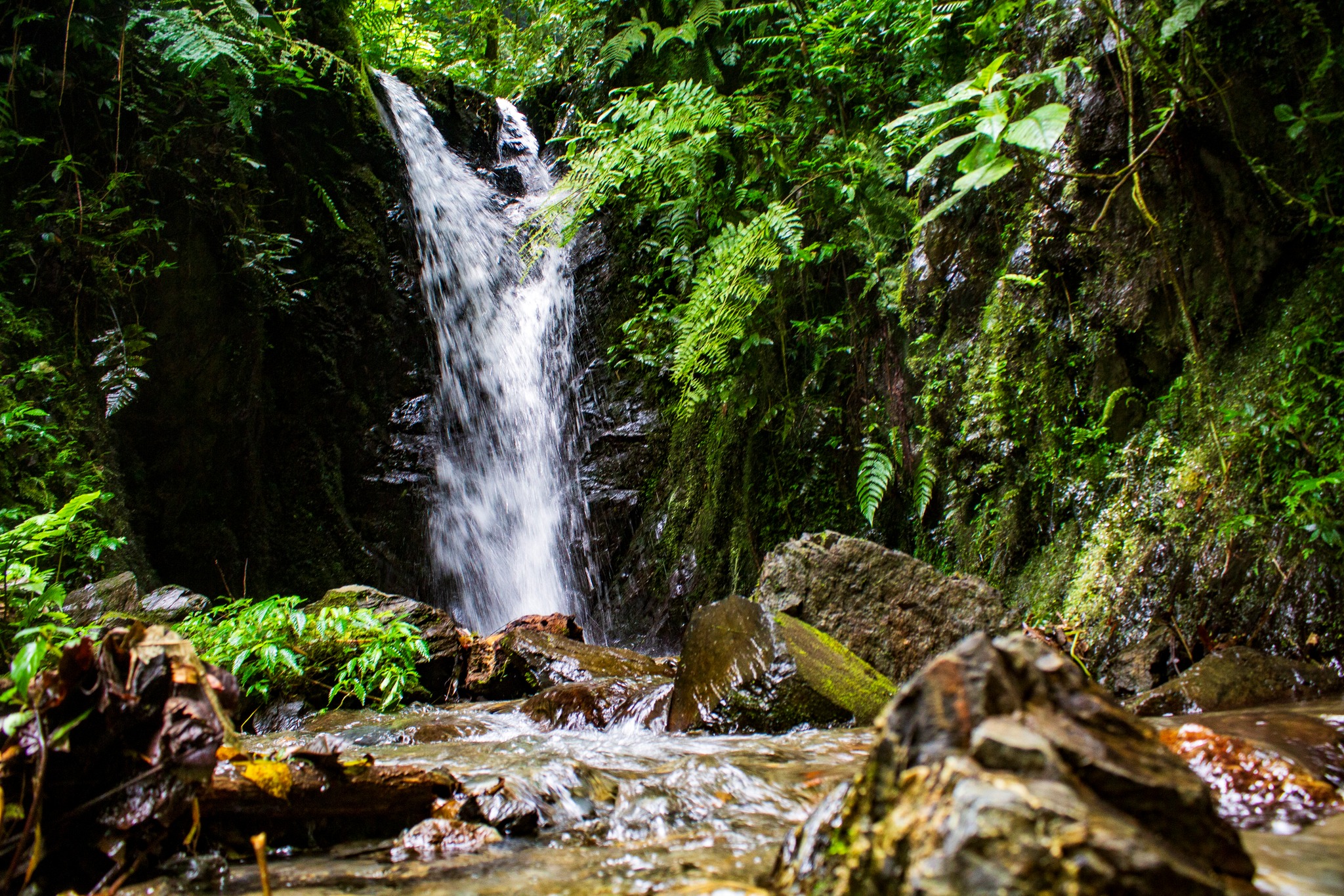 Conexión Eco Calima | Calima