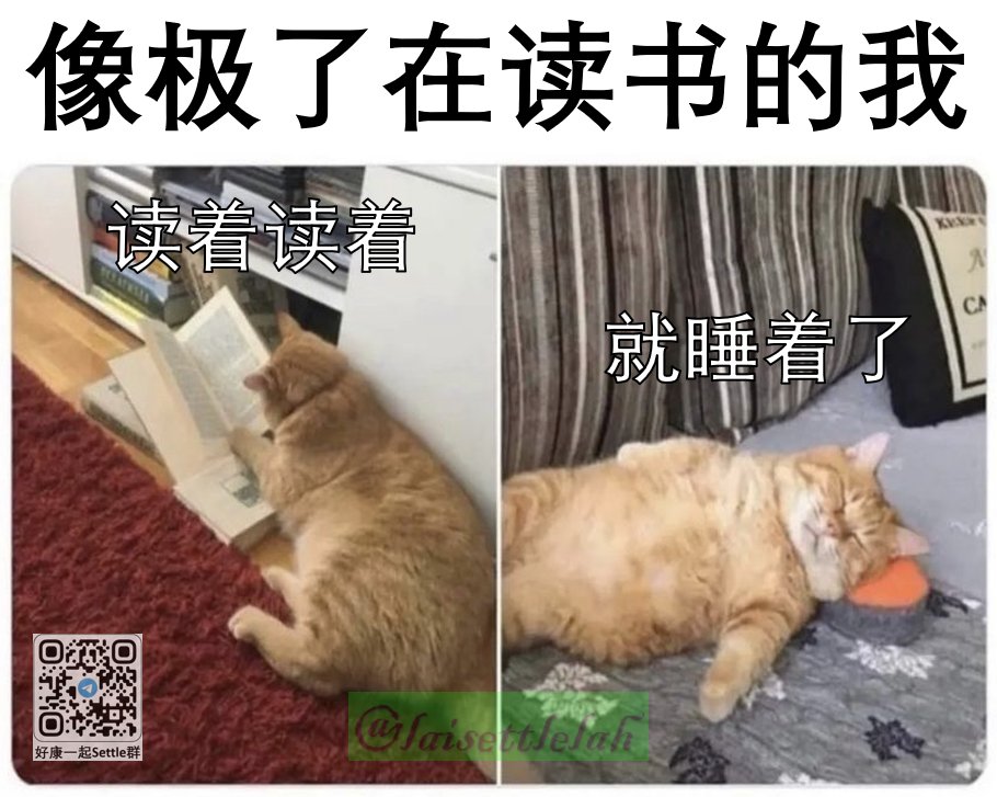 Laisettlelah - 是课本还是催眠书🤣 . 加入好康一起Settle群 🔗Telegram Link at Bio👍 . . 接业配 ...