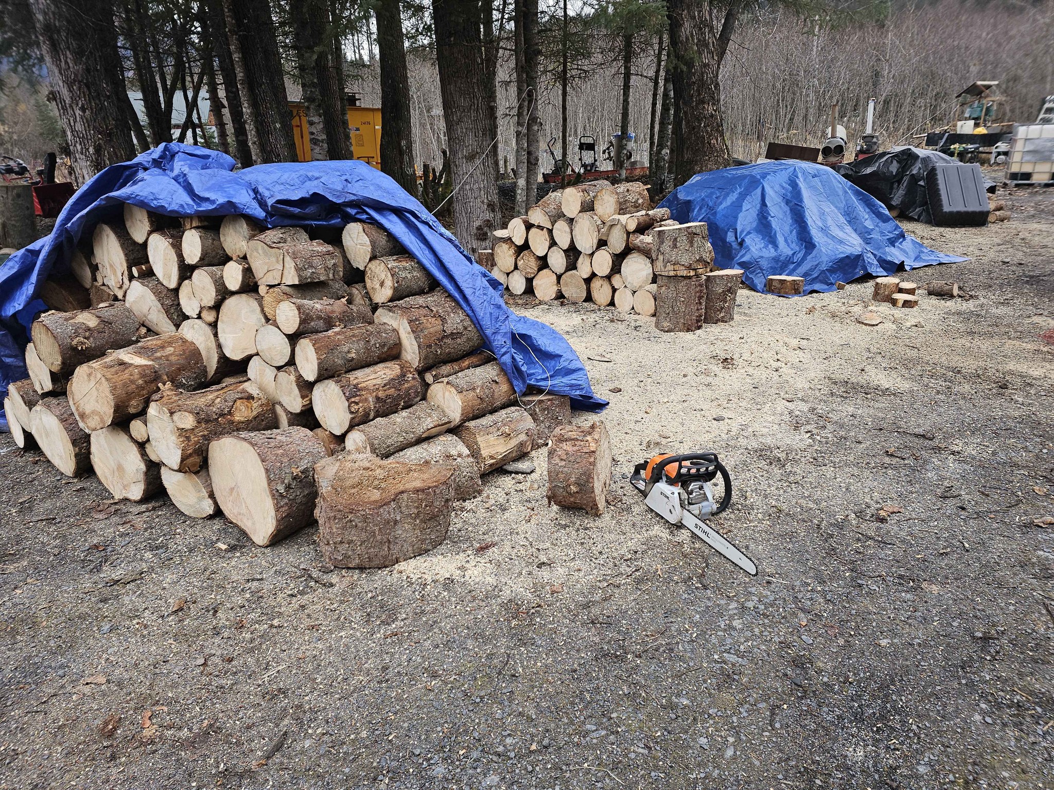 Sell This Seward Stuff | Find yourself a little low on firewood | Facebook