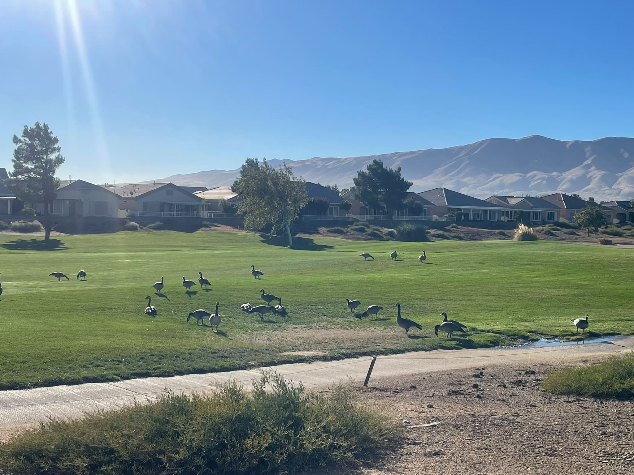 Good morning ☀️ It's a good day to be on the course!