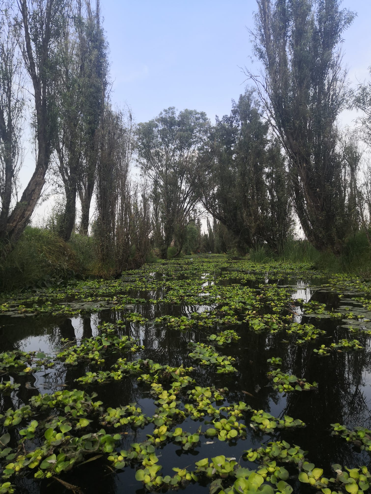 La belleza de los canales de... - Lumkinal Atoctli