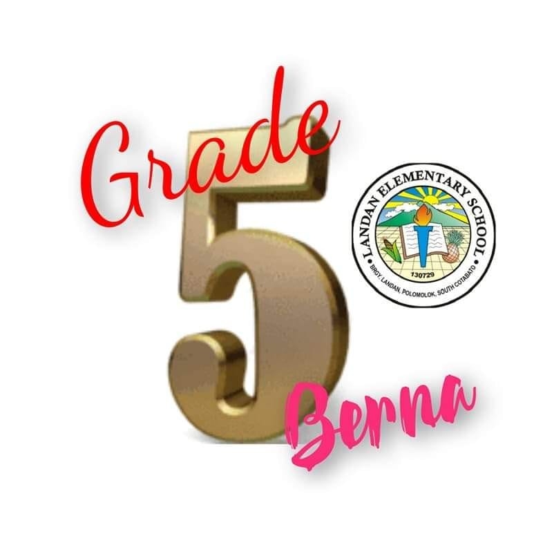 Gradefive Berna