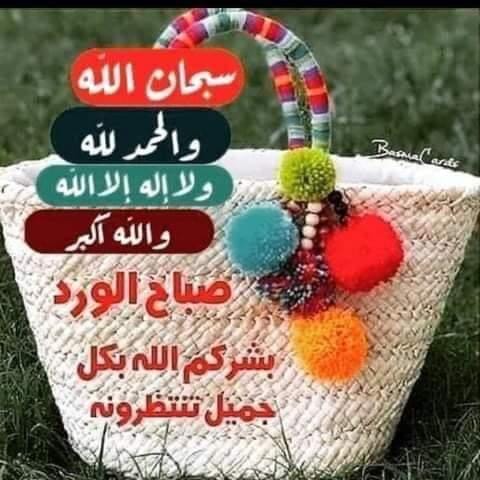 Jamal R. Rasool Al-abady