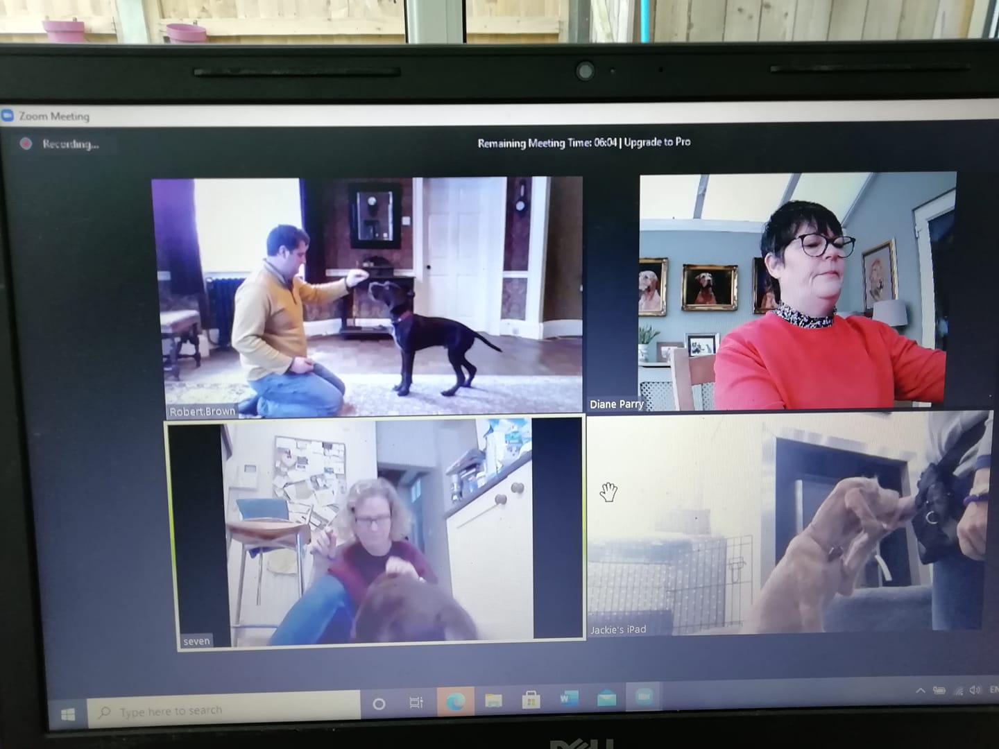 Training week 1 Puppy Course.... - Talking Tails Dog Training