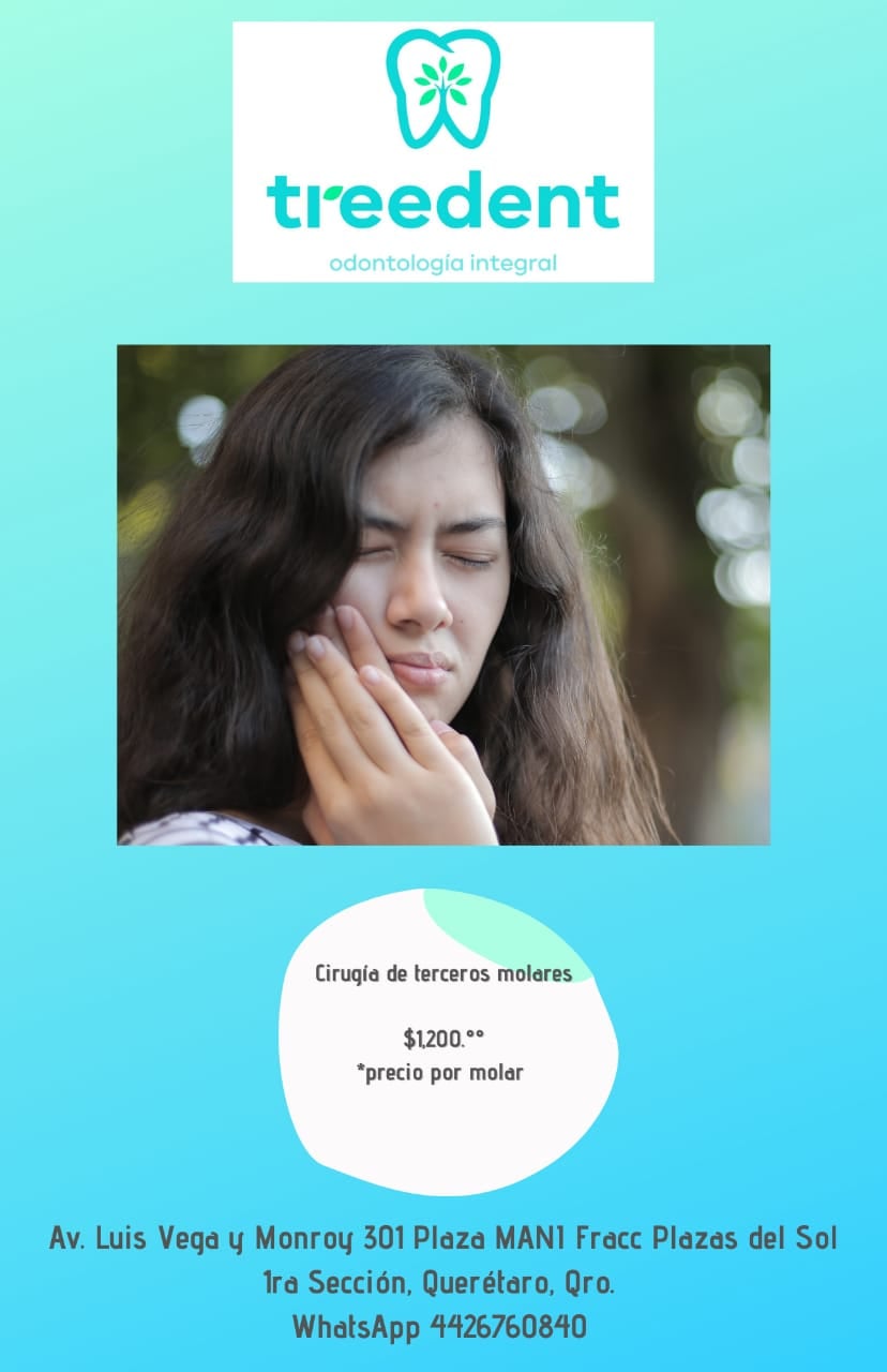 TreeDent Odontología Integral Querétaro | Querétaro