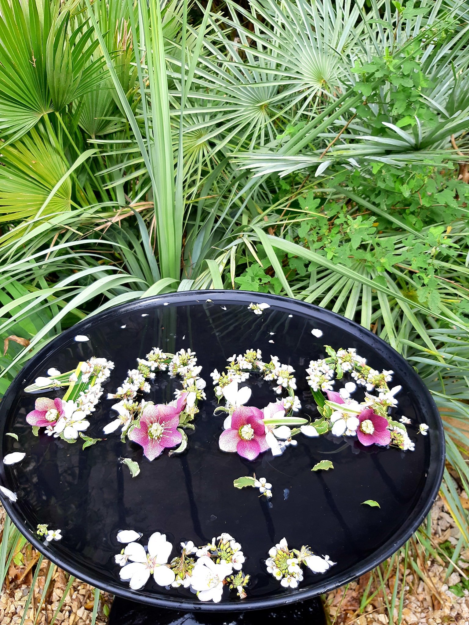 Le jardin de Bésignoles, va fêter... - Jardin de Bésignoles