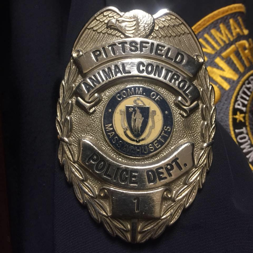 *MISSING... - Pittsfield Police Department Animal Control Unit | Facebook