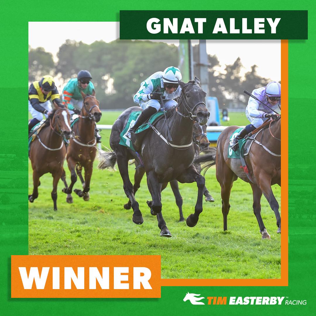 🟢 WINNER! 🟠 A Saturday double!... - Tim Easterby Racing | Facebook