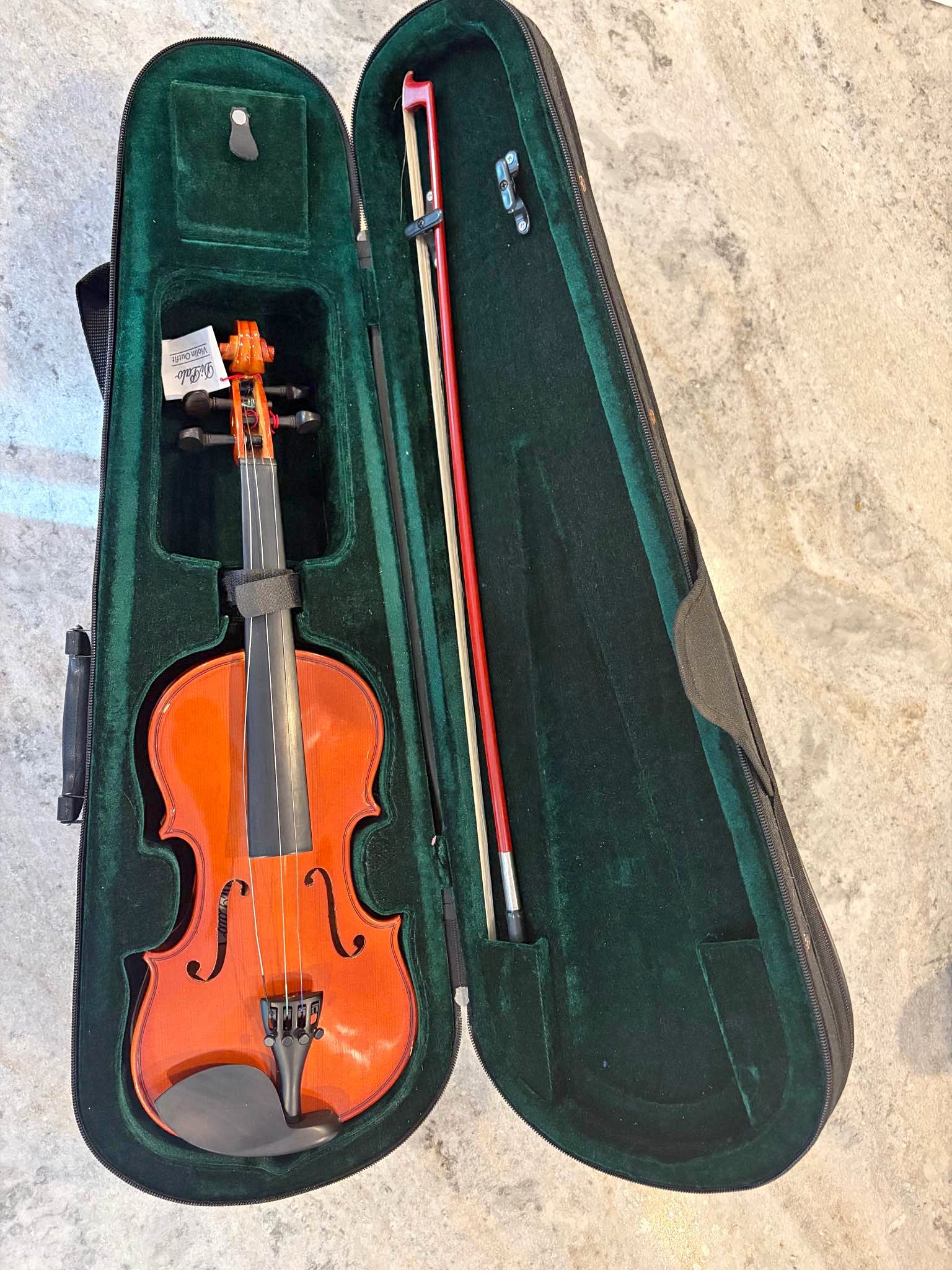 Washington, New Jerseyで販売中のビオラ | Facebook Marketplace