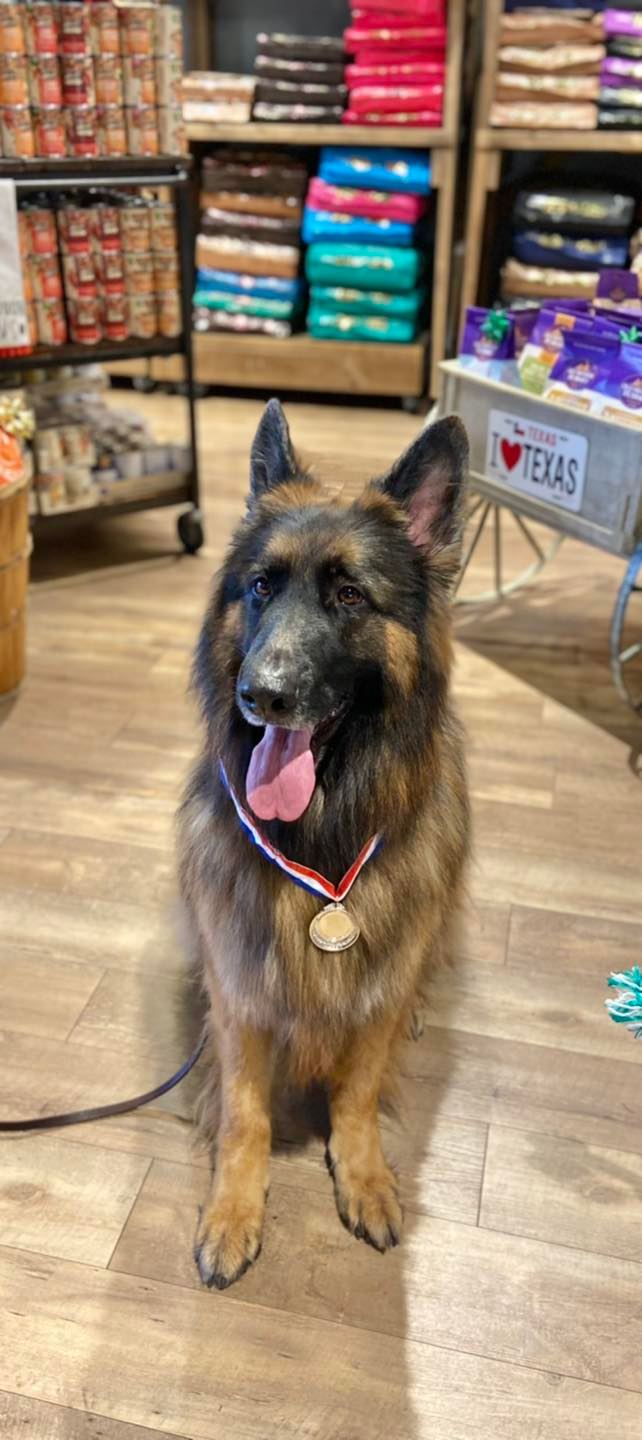 Our First Pooper Prize on today’s Dog... - Patsy's Pet Market