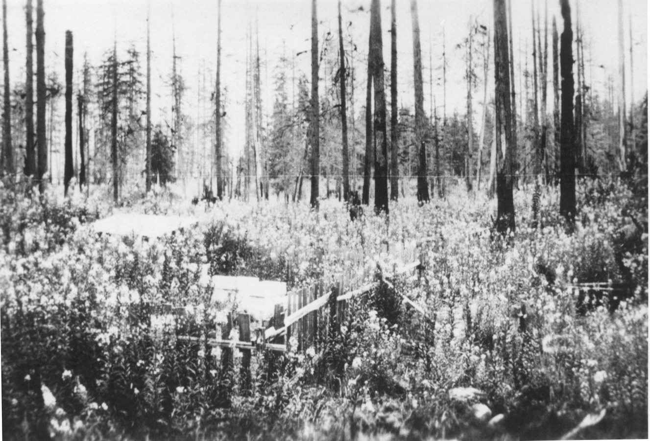 Maple Ridge Museum &... - Maple Ridge Museum & Archives