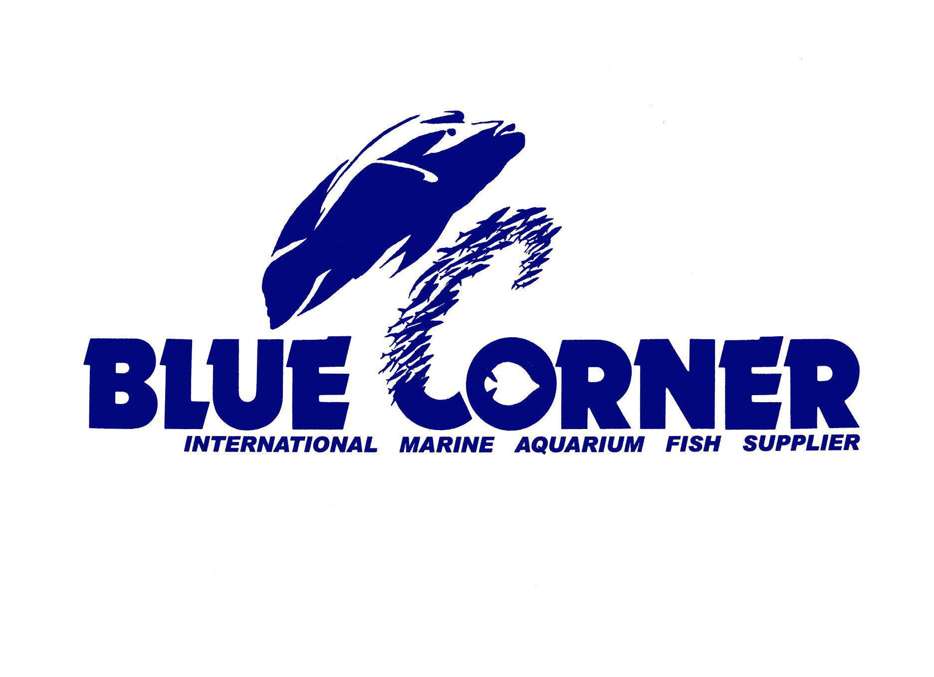 Blue Corner Inc 有限会社ブルーコーナー Events Facebook