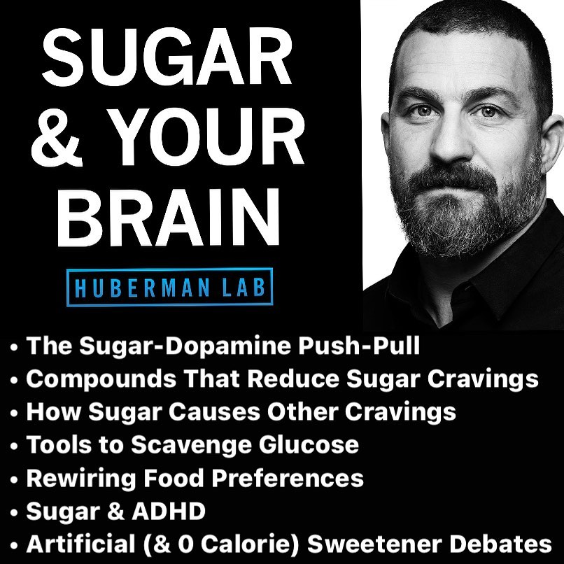 New Huberman Lab Podcast out now on controlling sugar cravings and metabolism with science-based tools. There's a lot of confusion out there about nutrition. One of the vastly overlooked elements of the